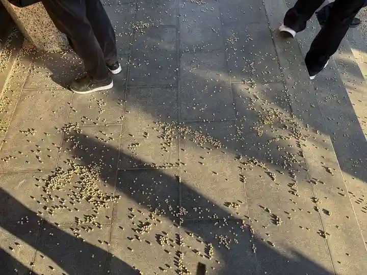 勝山寺(愛知県)