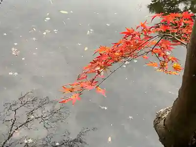 題経寺（柴又帝釈天）(東京都)