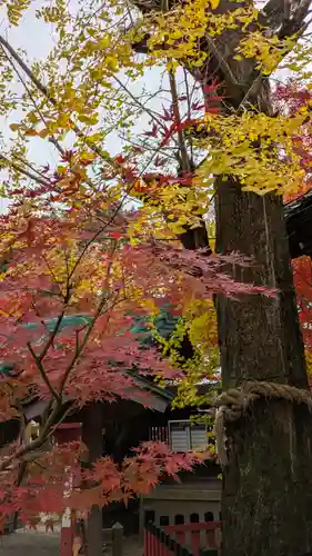 松ヶ崎大黒天 妙圓寺（妙円寺）(京都府)