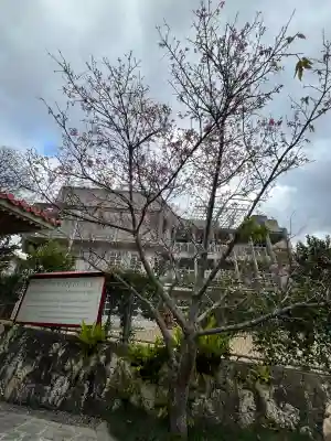 識名宮の{uncategorized: "未分類", other: "その他", undefined: "問題あり", building: "その他建物", grave: "お墓", sacred_gate: "鳥居", guardian: "狛犬", statue: "像", buddha: "仏像", history: "歴史", nature: "自然", garden: "庭園", animal: "動物", pagoda: "塔", temizu: "手水舎", mountain_gate: "山門・神門", sanctuary: "本殿・本堂", subordinate: "末社・摂社", art: "芸術", scenery: "景色", jizo: "地蔵", ema: "絵馬", goshuin: "御朱印", omikuji: "おみくじ", items: "授与品その他", amulet: "お守り", goshuincho: "御朱印帳", eats: "食事", festival: "お祭り", votive_dance: "神楽", shichigosan: "七五三参", wedding: "結婚式", experience: "体験その他", initially: "初詣", around: "周辺", anti_infection: "感染症対策"}