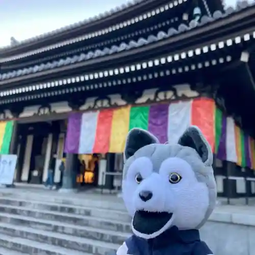 長谷寺(神奈川県)