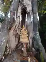秩父今宮神社(埼玉県)