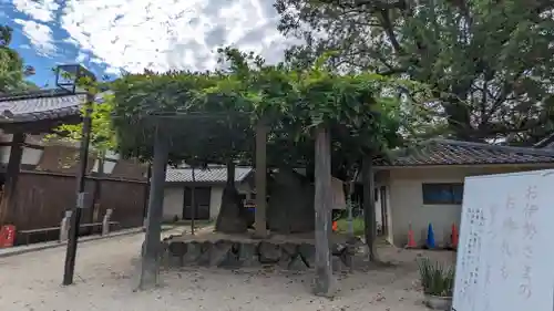 藤森神社(京都府)