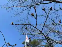 彌彦神社　(伊夜日子神社)の自然