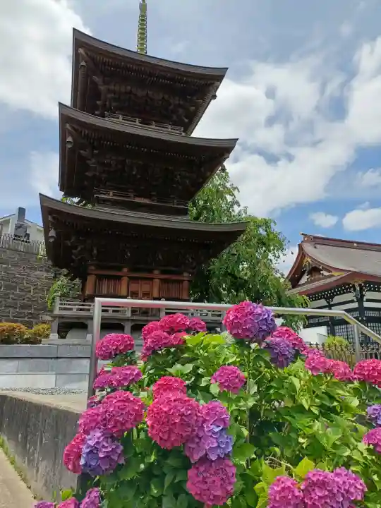 明鏡寺(神奈川県)