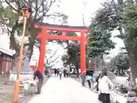 花園神社の鳥居