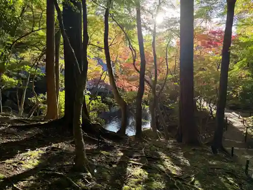 醍醐寺(京都府)