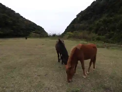 御崎神社(宮崎県)