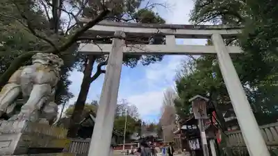 秩父神社(埼玉県)