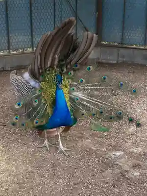 進雄神社(群馬県)