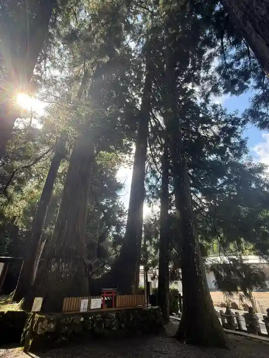 室生龍穴神社(奈良県)