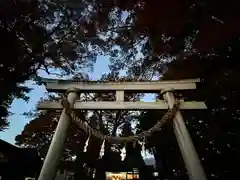 白鳥神社(長野県)