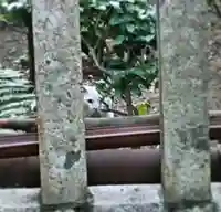 三輪神社の動物