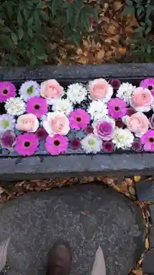 行田八幡神社の手水舎