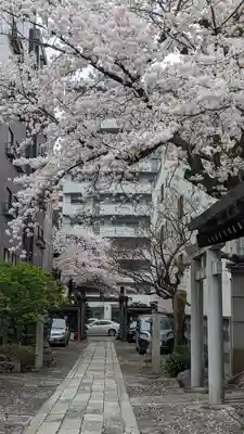 菅大臣神社(京都府)