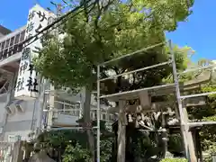 サムハラ神社(大阪府)