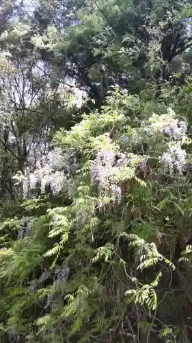 赤乳神社（春日大社境外末社）の{uncategorized: "未分類", other: "その他", undefined: "問題あり", building: "その他建物", grave: "お墓", sacred_gate: "鳥居", guardian: "狛犬", statue: "像", buddha: "仏像", history: "歴史", nature: "自然", garden: "庭園", animal: "動物", pagoda: "塔", temizu: "手水舎", mountain_gate: "山門・神門", sanctuary: "本殿・本堂", subordinate: "末社・摂社", art: "芸術", scenery: "景色", jizo: "地蔵", ema: "絵馬", goshuin: "御朱印", omikuji: "おみくじ", items: "授与品その他", amulet: "お守り", goshuincho: "御朱印帳", eats: "食事", festival: "お祭り", votive_dance: "神楽", shichigosan: "七五三参", wedding: "結婚式", experience: "体験その他", initially: "初詣", around: "周辺", anti_infection: "感染症対策"}