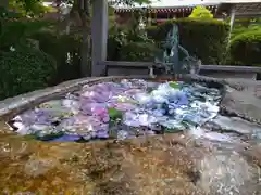 櫟野寺の手水