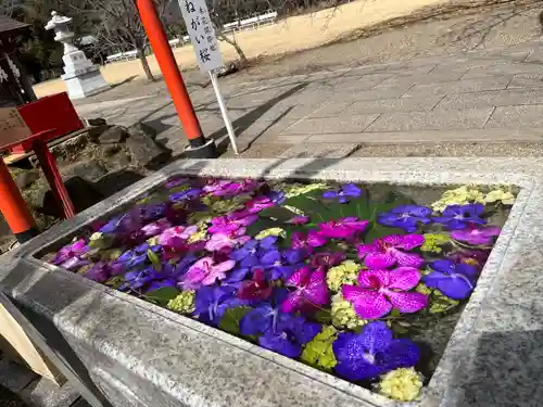 茨城縣護國神社の手水舎