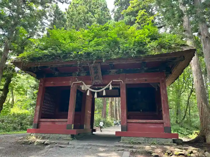 戸隠神社九頭龍社(長野県)