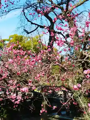 北野天満宮(京都府)