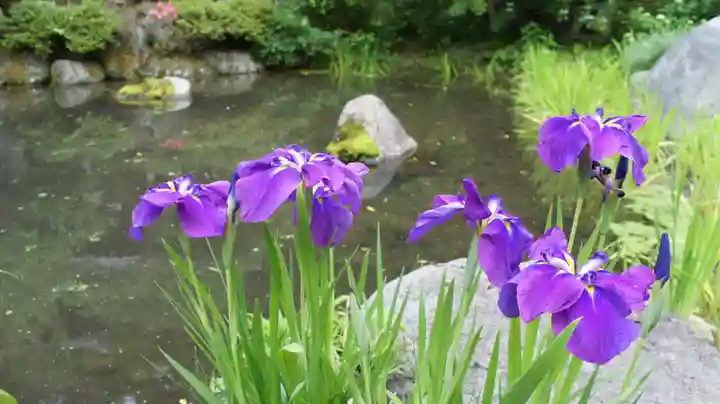 青龍山 吉祥寺(群馬県)