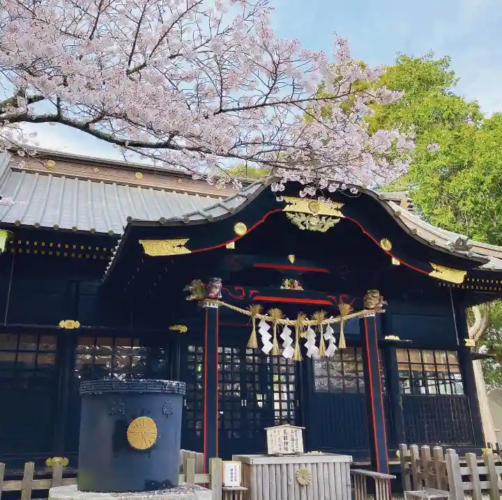 玉前神社の本殿・本堂