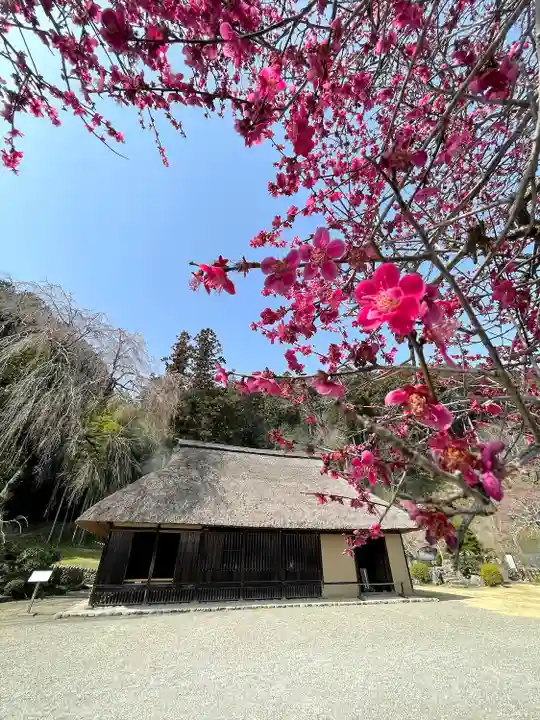 高麗神社(埼玉県)