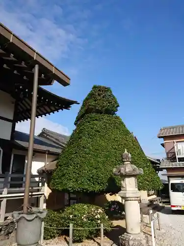 医王寺のその他建物