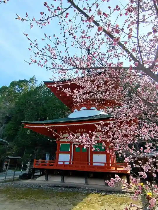 慈尊院の{uncategorized: "未分類", other: "その他", undefined: "問題あり", building: "その他建物", grave: "お墓", sacred_gate: "鳥居", guardian: "狛犬", statue: "像", buddha: "仏像", history: "歴史", nature: "自然", garden: "庭園", animal: "動物", pagoda: "塔", temizu: "手水舎", mountain_gate: "山門・神門", sanctuary: "本殿・本堂", subordinate: "末社・摂社", art: "芸術", scenery: "景色", jizo: "地蔵", ema: "絵馬", goshuin: "御朱印", omikuji: "おみくじ", items: "授与品その他", amulet: "お守り", goshuincho: "御朱印帳", eats: "食事", festival: "お祭り", votive_dance: "神楽", shichigosan: "七五三参", wedding: "結婚式", experience: "体験その他", initially: "初詣", around: "周辺", anti_infection: "感染症対策"}