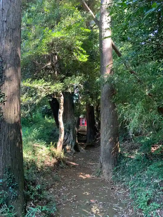 浅間神社の周辺