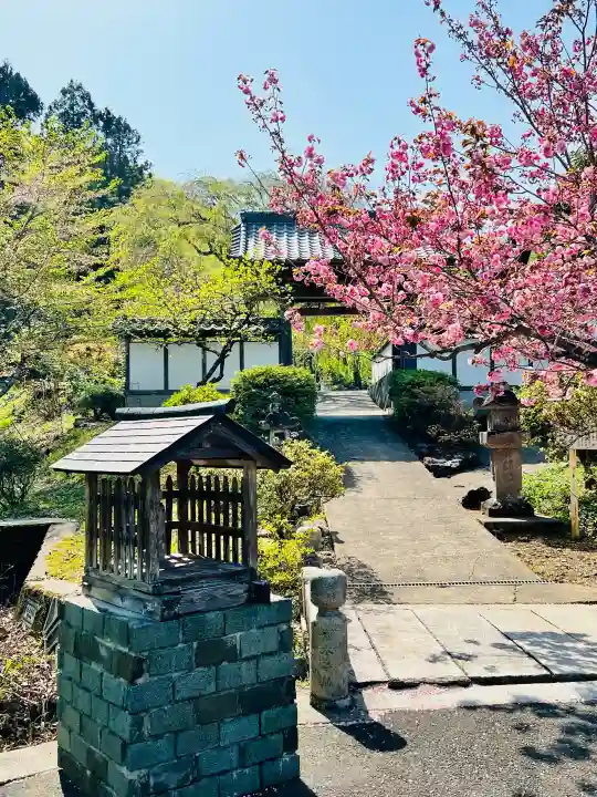 清源寺の{uncategorized: "未分類", other: "その他", undefined: "問題あり", building: "その他建物", grave: "お墓", sacred_gate: "鳥居", guardian: "狛犬", statue: "像", buddha: "仏像", history: "歴史", nature: "自然", garden: "庭園", animal: "動物", pagoda: "塔", temizu: "手水舎", mountain_gate: "山門・神門", sanctuary: "本殿・本堂", subordinate: "末社・摂社", art: "芸術", scenery: "景色", jizo: "地蔵", ema: "絵馬", goshuin: "御朱印", omikuji: "おみくじ", items: "授与品その他", amulet: "お守り", goshuincho: "御朱印帳", eats: "食事", festival: "お祭り", votive_dance: "神楽", shichigosan: "七五三参", wedding: "結婚式", experience: "体験その他", initially: "初詣", around: "周辺", anti_infection: "感染症対策"}