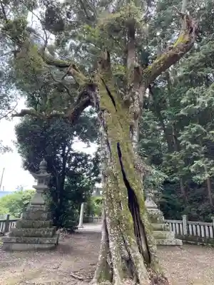 大避神社(兵庫県)