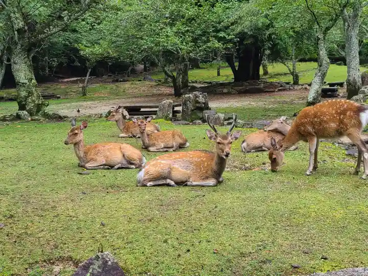 厳島神社(広島県)