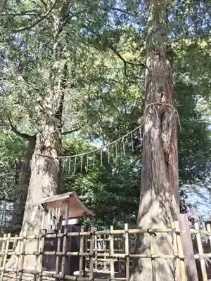 神明大神宮の自然