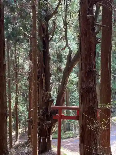 御嶽神社の鳥居