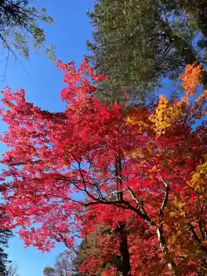 諏訪大社下社秋宮(長野県)