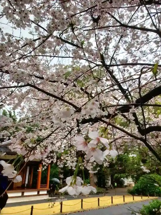阿佐ヶ谷神明宮(東京都)