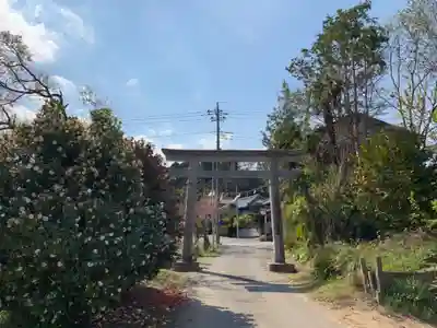 八幡神社の鳥居