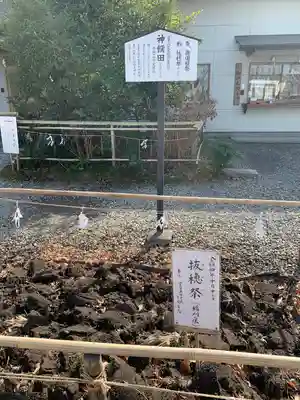 倉賀野神社(群馬県)