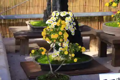 橿原神宮(奈良県)