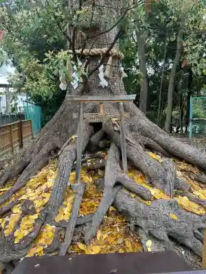 和泉國一之宮　大鳥大社の{uncategorized: "未分類", other: "その他", undefined: "問題あり", building: "その他建物", grave: "お墓", sacred_gate: "鳥居", guardian: "狛犬", statue: "像", buddha: "仏像", history: "歴史", nature: "自然", garden: "庭園", animal: "動物", pagoda: "塔", temizu: "手水舎", mountain_gate: "山門・神門", sanctuary: "本殿・本堂", subordinate: "末社・摂社", art: "芸術", scenery: "景色", jizo: "地蔵", ema: "絵馬", goshuin: "御朱印", omikuji: "おみくじ", items: "授与品その他", amulet: "お守り", goshuincho: "御朱印帳", eats: "食事", festival: "お祭り", votive_dance: "神楽", shichigosan: "七五三参", wedding: "結婚式", experience: "体験その他", initially: "初詣", around: "周辺", anti_infection: "感染症対策"}
