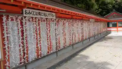 宇佐神宮のおみくじ