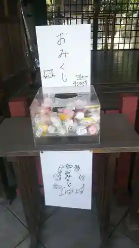 安居神社のおみくじ