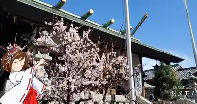 小菅神社の本殿・本堂