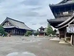 大通寺（長浜御坊）の建物その他