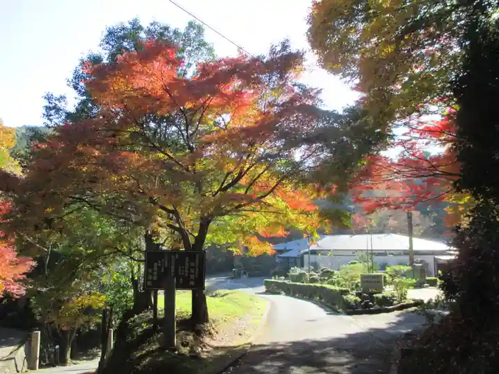 今熊野観音寺(京都府)