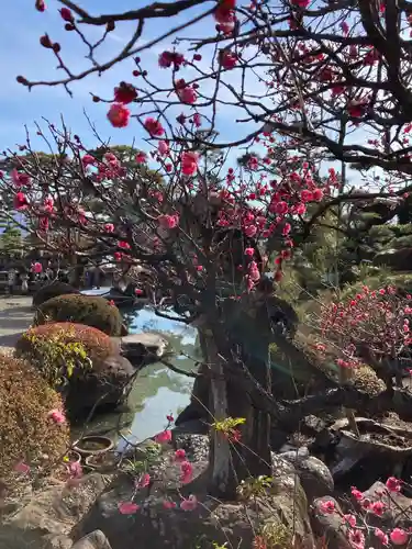 甲斐善光寺の自然