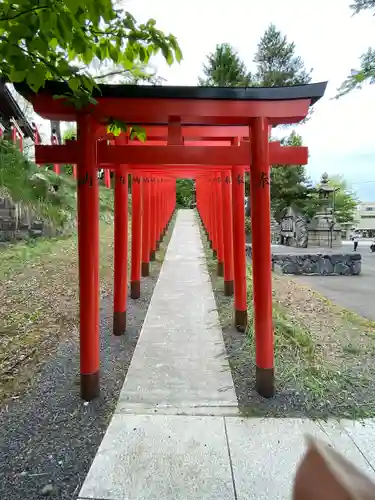 住吉神社の鳥居