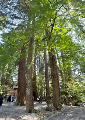 高千穂神社(宮崎県)